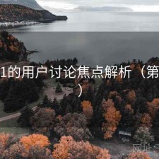 关于91的用户讨论焦点解析（第173期）