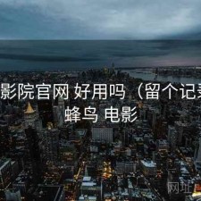 蜂鸟影院官网 好用吗（留个记录），蜂鸟 电影