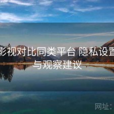 人人影视对比同类平台 隐私设置差异与观察建议
