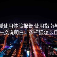 茶杯狐使用体验报告 使用指南与指南一文说明白，茶杯狐怎么用