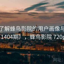 深入了解蜂鸟影院的用户画像与偏好（第1404期），蜂鸟影院 720p 下载