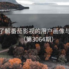 深入了解番茄影视的用户画像与偏好（第3064期）