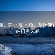 茶杯狐：简评 顺不顺，茶杯狐官方网站扫黑风暴
