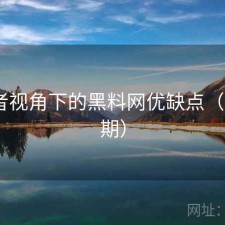 使用者视角下的黑料网优缺点（第151期）