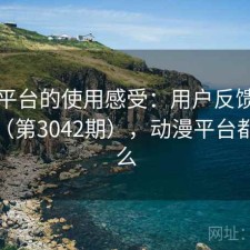动漫平台的使用感受：用户反馈全景分析（第3042期），动漫平台都有什么