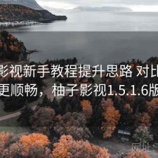 柚子影视新手教程提升思路 对比让体验更顺畅，柚子影视1.5.1.6版本