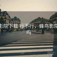 蜂鸟影院下载 行不行，蜂鸟影院有毒吗