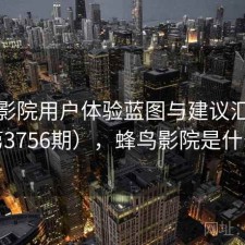 蜂鸟影院用户体验蓝图与建议汇总（第3756期），蜂鸟影院是什么