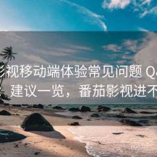 番茄影视移动端体验常见问题 Q&A：建议一览，番茄影视进不去