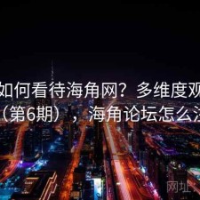 用户如何看待海角网？多维度观察报告（第6期），海角论坛怎么注册