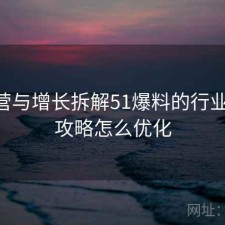 从运营与增长拆解51爆料的行业趋势 攻略怎么优化
