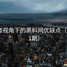 使用者视角下的黑料网优缺点（第2191期）