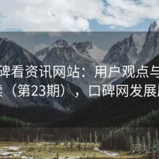 从口碑看资讯网站：用户观点与趋势解读（第23期），口碑网发展历程