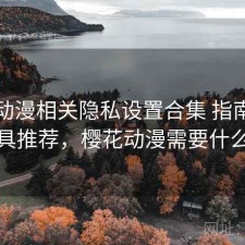 樱花动漫相关隐私设置合集 指南与实用工具推荐，樱花动漫需要什么权限