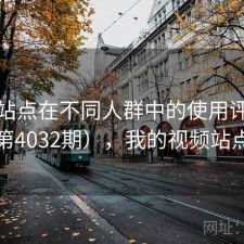 视频站点在不同人群中的使用评价（第4032期），我的视频站点