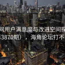 海角网用户满意度与改进空间探讨（第3870期），海角论坛打不开