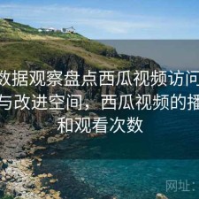 基于数据观察盘点西瓜视频访问速度 复盘与改进空间，西瓜视频的播放量和观看次数