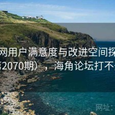海角网用户满意度与改进空间探讨（第2070期），海角论坛打不开