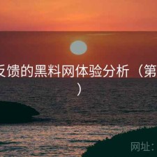 基于反馈的黑料网体验分析（第727期）