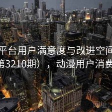 动漫平台用户满意度与改进空间探讨（第3210期），动漫用户消费方向