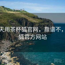 这几天用茶杯狐官网，靠谱不，茶杯狐官方网站