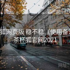 茶杯狐网页版 稳不稳（使用备注），茶杯狐官网2021