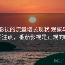 番茄影视的流量增长现状 观察与用户关注点，番茄影视是正规的吗