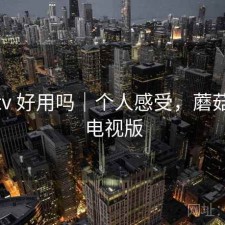 蘑菇tv 好用吗｜个人感受，蘑菇影视电视版