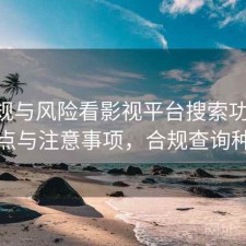 从合规与风险看影视平台搜索功能 关键点与注意事项，合规查询种类