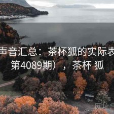 用户声音汇总：茶杯狐的实际表现（第4089期），茶杯 狐