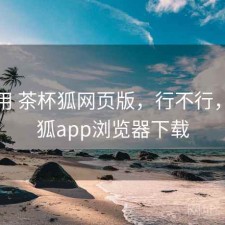 反复用 茶杯狐网页版，行不行，茶杯狐app浏览器下载