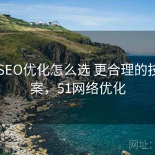 51网SEO优化怎么选 更合理的技巧方案，51网络优化