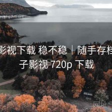 柚子影视下载 稳不稳｜随手存档，柚子影视 720p 下载