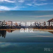 17c对比同类平台 搜索功能差异与复盘建议