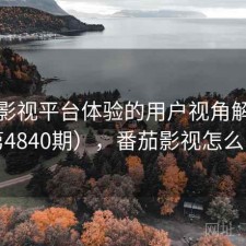 番茄影视平台体验的用户视角解读（第4840期），番茄影视怎么了