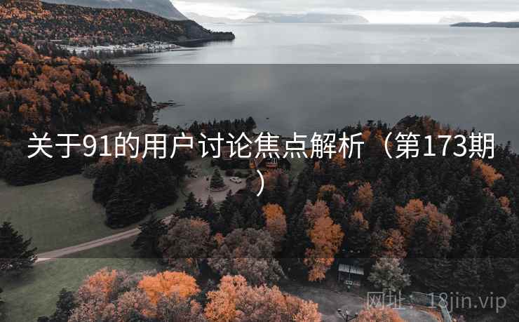 关于91的用户讨论焦点解析（第173期）  第1张