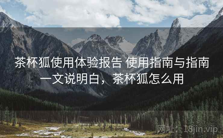 茶杯狐使用体验报告 使用指南与指南一文说明白，茶杯狐怎么用  第2张